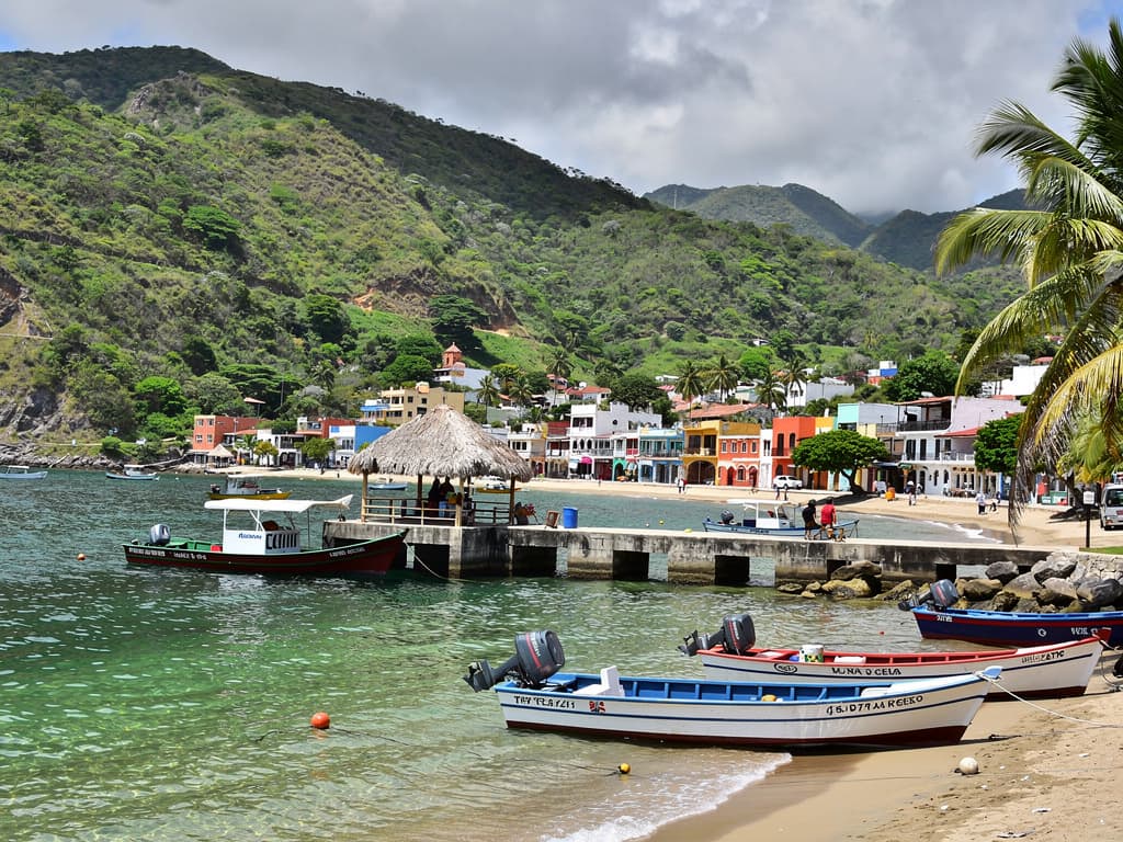 La Entrega cove, clear green water, a few palms at the edge, pangas on the sand.