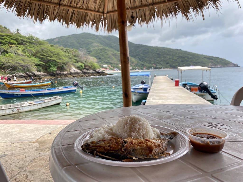 Pescado frito and rice on a plastic plate, salsa in a small bowl, plastic table under palapa
